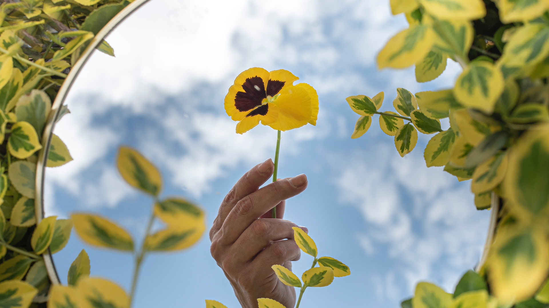 Beyond the Mirror’s Surface: Self-Reflection for Personal and Professional Growth