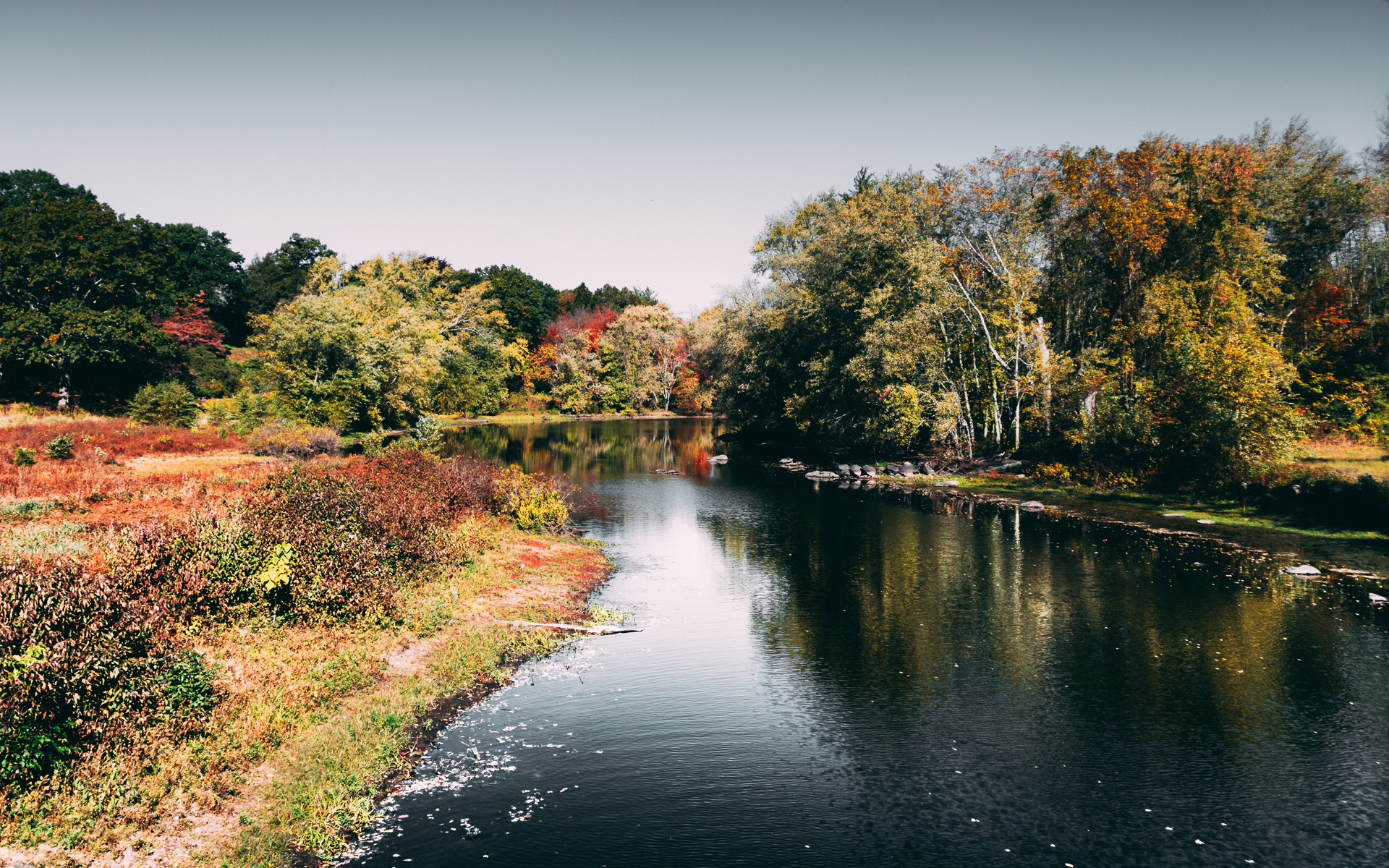 Your Career Is a River: Where Is It Going?
